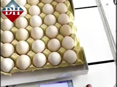 Mała drukarka do atramentu jaj Xy Axis Inteligentna drukarka do atramentu jaj W pełni automatyczna